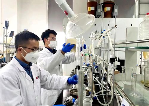 國家能源集團PAO基礎油成套技術 填補國內空白，引領環境科技高質量發展